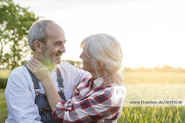 Liebevolles Seniorenpaar im sonnigen ländlichen Weizenfeld