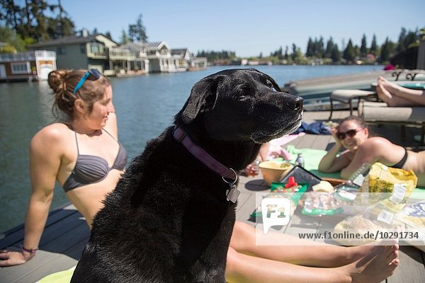 Dog and young women picnicing on waterfront pier  Lake Oswego  Oregon  USA