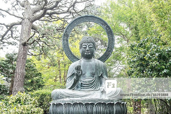 Buddha statue  Japanese Tea Garden  San Francisco  USA