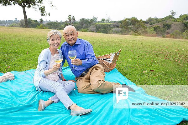Porträt eines Seniorenpaares beim Picknick im Park mit Weingläsern