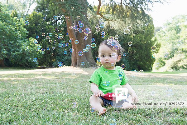 Baby boy sitting on grass watching bubbles in park