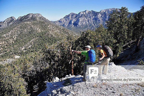 Couple hiking  Mount Charleston Wilderness trail  Nevada  USA