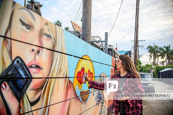 Graffiti artist spray painting wall on street  Venice Beach  California  USA