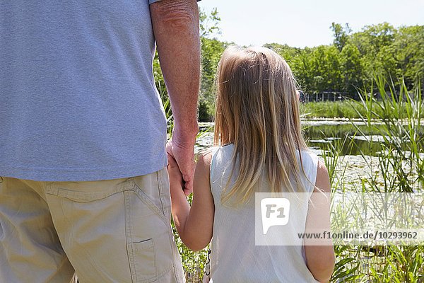 Rückansicht eines Mädchens und Großvaters  die am See Händchen halten.