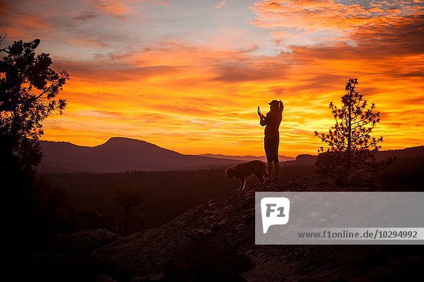 Silhouette of young woman and dog with dramatic orange sky  High Sierra National Park  California  USA