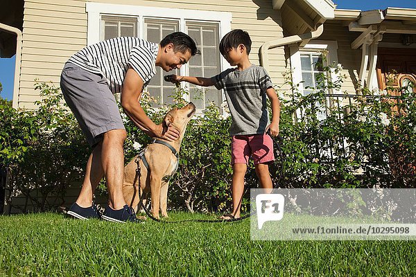 Father and son petting dog in garden