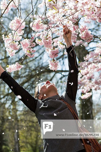 Reife Frau greift nach Kirschblüten im Park
