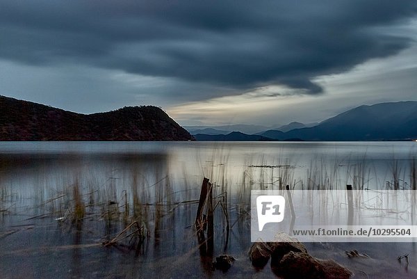 Ruhiger Blick auf das Schilf am Lugu-See in der Abenddämmerung  Yunnan  China