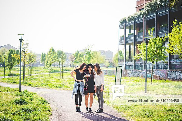 Drei junge Freundinnen beim Lesen von Smartphone-Texten im Park