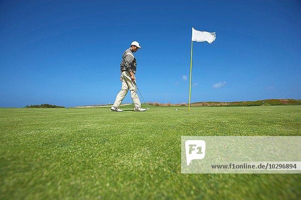 Niedriger Winkel volle Seitenansicht des Golfspielers  der zur Golffahne geht und nach unten schaut.