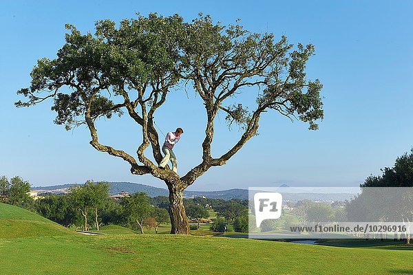 Golfer steht im Baum und bereitet sich auf den Golfschwung vor.