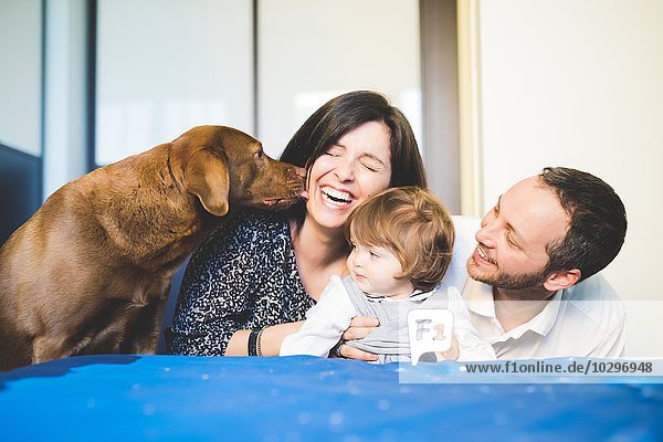 Mid adult couple laughing with toddler daughter and pet dog