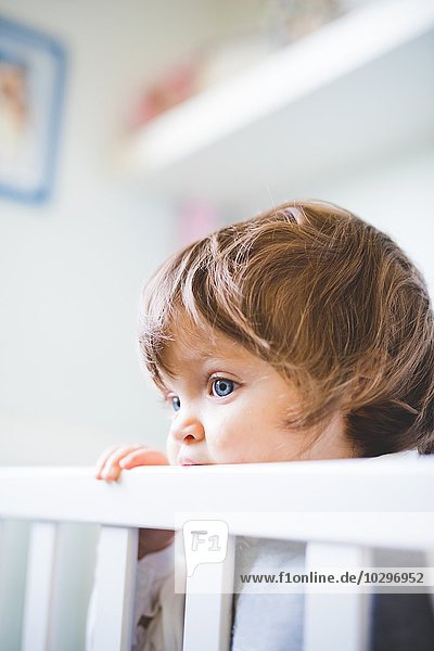 Portrait of female toddler gazing from crib