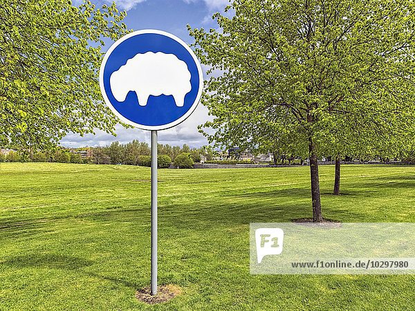 Schild  weidende Schafe  auf einer frisch gemähten Wiese  Parkanlage  Dublin  Irland  Europa