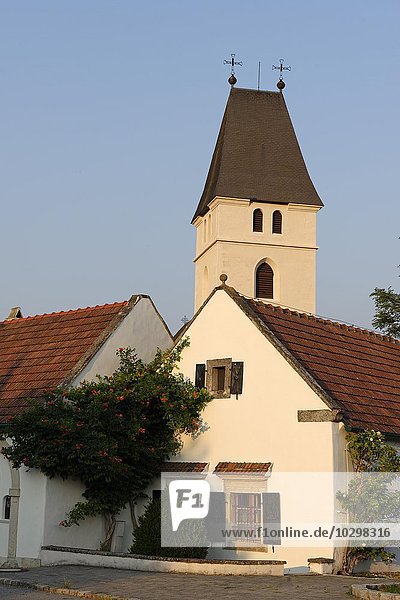 Pfarrkirche St. Kunigunde  Breitenbrunn Neusiedler See  Burgenland  Österreich  Europa