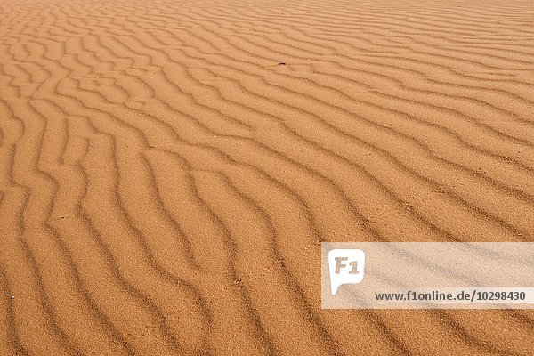 Strukturen im Sand  Düne  Kalahari Wüste  Namibia  Afrika