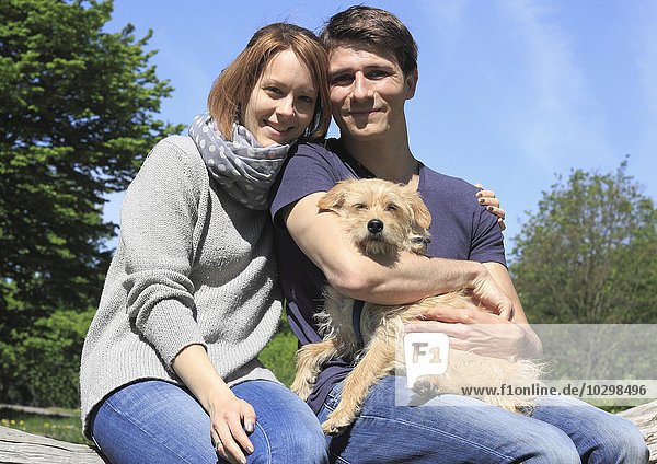 Happy young couple holding a Terrier mixed-breed dog  North Rhine-Westphalia  Germany  Europe