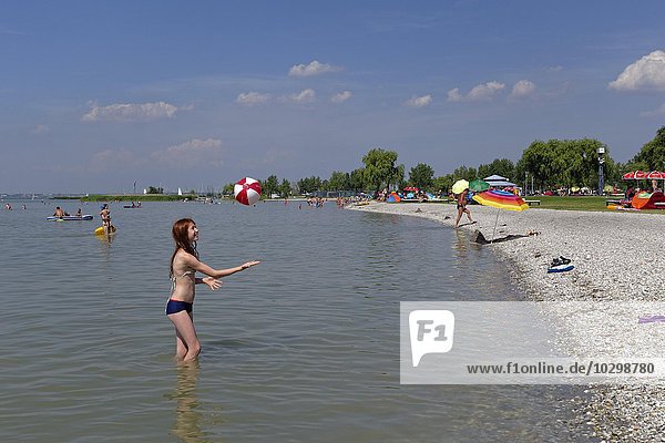 Bathers in water  bathing  Podersdorf  Lake Neusiedl  Burgenland  Austria  Europe