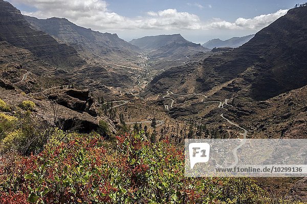Ausblick auf eine Serpentinenstraße und ein Tal bei Las Casas de Venegueras  Gran Canaria  Kanarische Inseln  Spanien  Europa