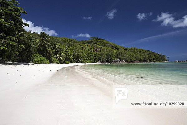 Weißer Sandstrand mit Palmen  Traumstrand  Port Launay Marine Nationalpark  Insel Mahe  Seychellen  Afrika