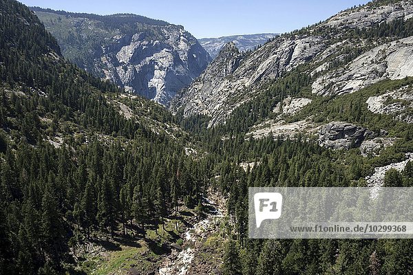 Ausblick vom Nevada Fall auf den Merced River  Yosemite Nationalpark  USA  Nordamerika