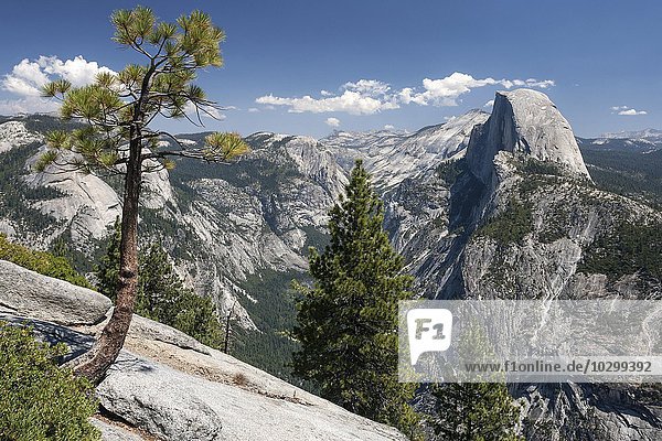 Ausblick vom Glacier Point ins Yosemite Valley und auf Half Dome  Yosemite Nationalpark  Kalifornien  USA  Nordamerika