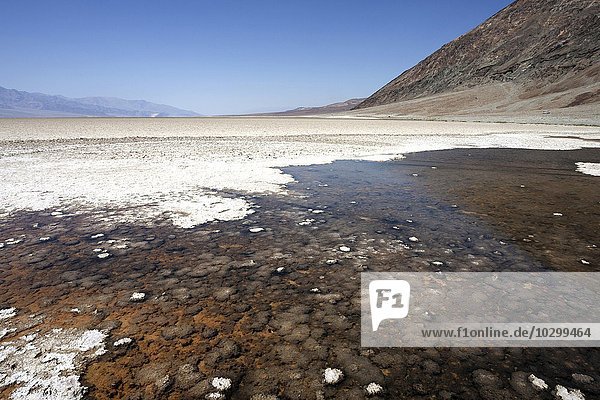Salzkruste auf der Salzpfanne des Badwater Basin  tiefster Punkt Nordamerikas  Death Valley  Mojave Wüste  Kalifornien  USA  Nordamerika
