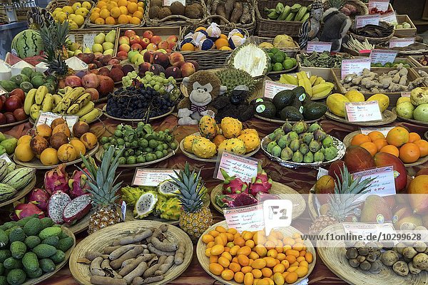 Verschiedene exotische Früchte an einem Obststand  Viktualienmarkt  München  Bayern  Deutschland  Europa