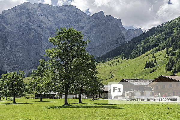 Bauernhäuser  Almhäuser Almdorf Eng  Eng-Alm  hinten die Laliderer-Wände  Karwendel  Tirol  Österreich  Europa