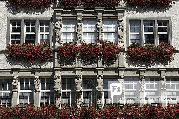 Window with geraniums  facade of the department store Hirmer  Munich  Bavaria  Germany  Europe