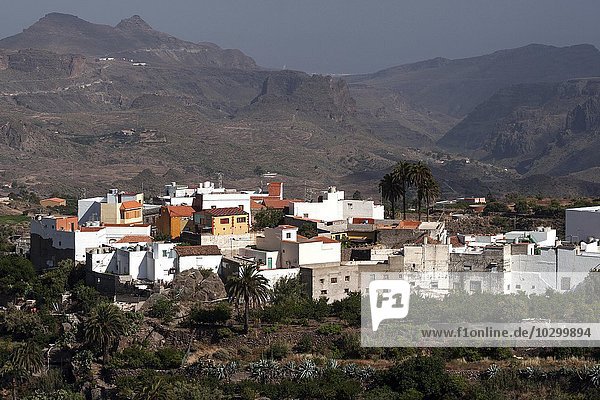 Ausblick auf einen Teil von San Bartolome de Tirajana  Gran Canaria  Kanarische Inseln  Spanien  Europa