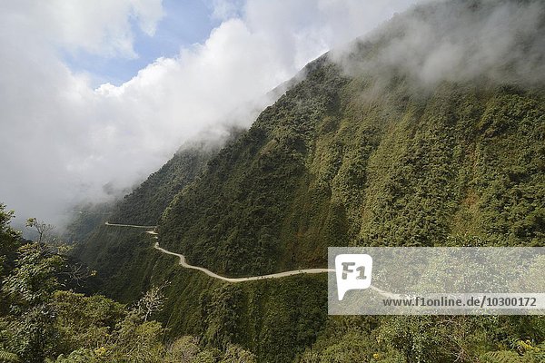 Todesstrasse schlängelt sich durch subtropischen Regenwald  Camino de la Muerte  Yungas Straße zwischen La Paz und Coroico  Bolivien  Südamerika