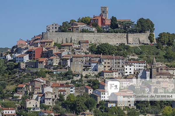 Idyllisches Dorf auf Hügel mit venezianischer Festung  Motovun  Istrien  Kroatien  Europa