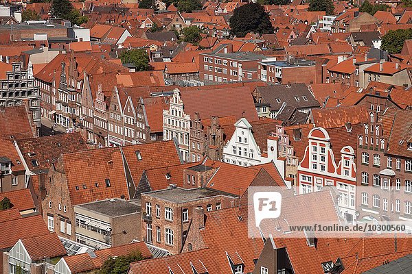 Giebelhäuser der Altstadt  Hansestadt Lüneburg  Niedersachsen  Deutschland  Europa