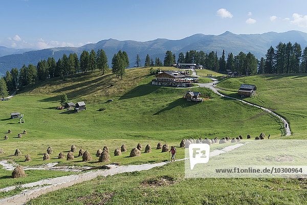Rotwandalm mit Bergstation Gondellift und Rudi-Hütte  Naturpark Drei Zinnen  UNESCO Weltnaturerbe  Sextner Dolomiten  Alpen  Provinz Südtirol  Alto Adige  Italien  Europa