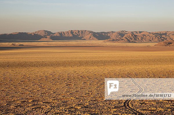 Mit Gras bedeckte Wüstenebene am Rande der Namib-Wüste  Feenkreise  kreisförmige Flecken ohne Vegetation  im Abendlicht  NamibRand-Naturreservat  Namibia  Afrika