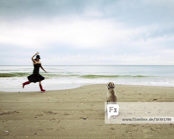 Weimaraner hunting dog and a woman waving at the beach Lokken Jutland Denmark Europe