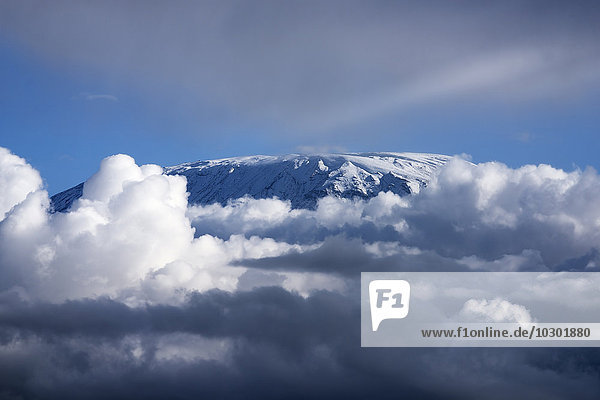 Vereister Kibo Gipfel oder Uhuru Peak des Kilimandscharo  Amboseli  Kenia  Afrika