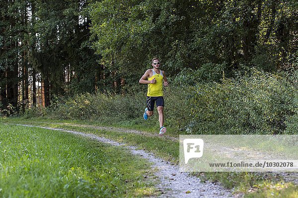 Runner on a forest path  Mindelheim  Unterallgäu  Bavaria  Germany  Europe