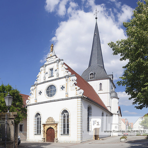 Stadtkirche St. Salvator  Neckarbischofsheim  Rhein-Neckar-Kreis  Baden-Württemberg  Deutschland  Europa
