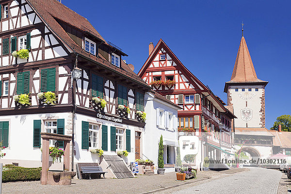 Historische Altstadt mit Obertorturm  Gengenbach  Kinzigtal  Schwarzwald  Baden-Württemberg  Deutschland  Europa