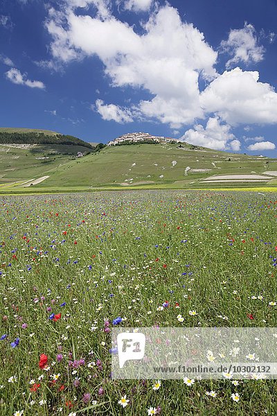 Bergdorf Castelluccio di Norcia,  Piano Grande,  Nationalpark Monti Sibillini,  Provinz Perigua,  Umbrien,  Italien,  Europa