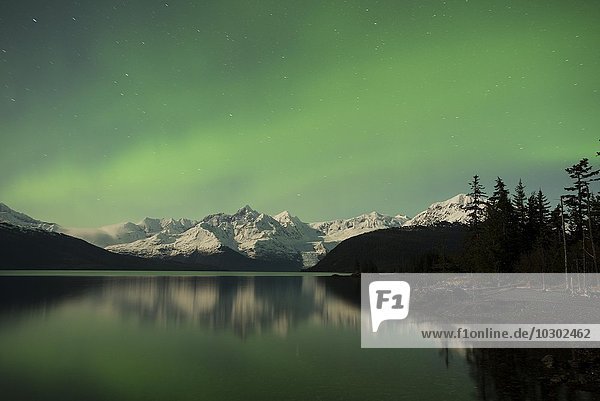 Aurora borealis über dem Prinz-William-Sund  Prince William Sound  Alaska  USA  Nordamerika