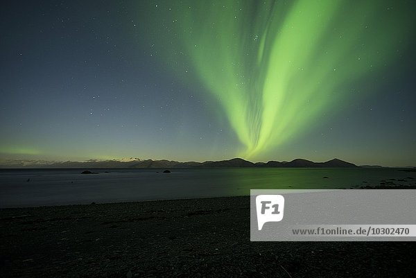 Aurora borealis und Mondschein über dem Prinz-William-Sund  Alaska  USA  Nordamerika
