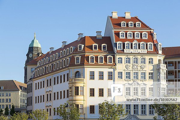 Heinrich-Schütz-Haus und Köhlersches Haus am Neumarkt  Dresden  Sachsen  Deutschland  Europa