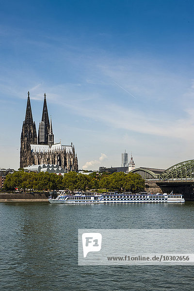 Kreuzfahrtschiff vor dem Kölner Dom  Rhein  Köln  Deutschland  Europa