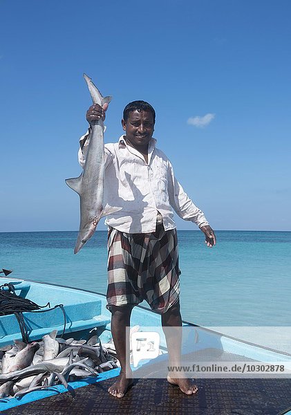 Mann hält toten Hai  Fischfang  Insel Masirah  Oman  Asien