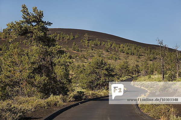 Craters of the Moon National Monument and Preserve  Arco  Idaho  United States  North America