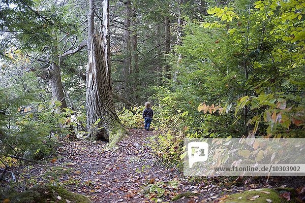 Child walking on trail through woods