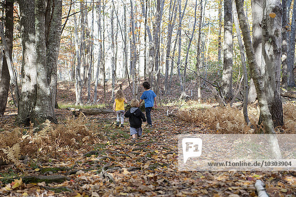 Children exploring in woods
